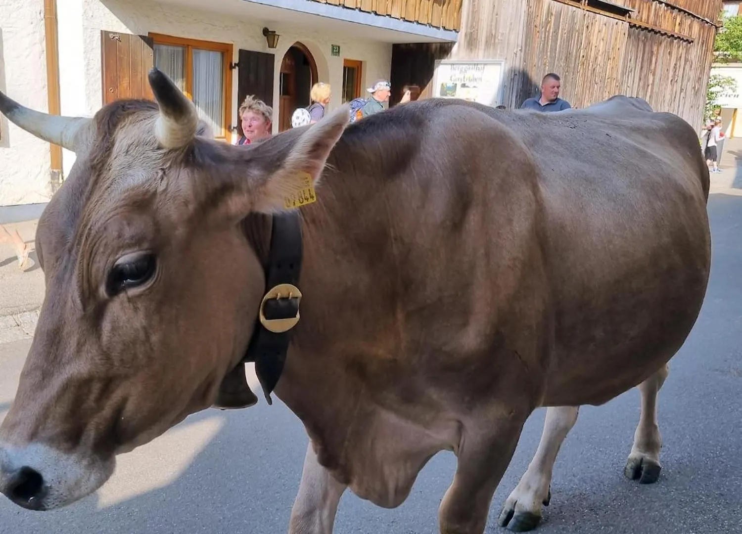 Ferienwohnung Alpenglueck Mit Schwimmbad Und Sauna 오버스트도르프