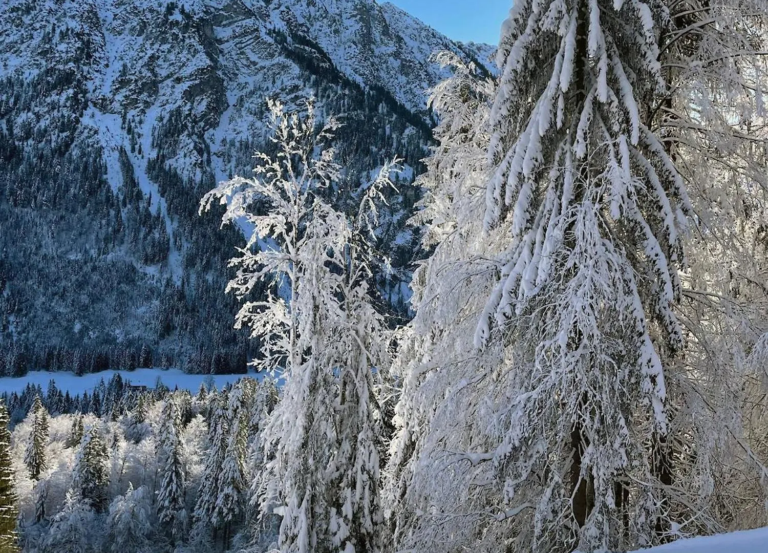 아파트 Ferienwohnung Alpenglueck Mit Schwimmbad Und Sauna 오버스트도르프